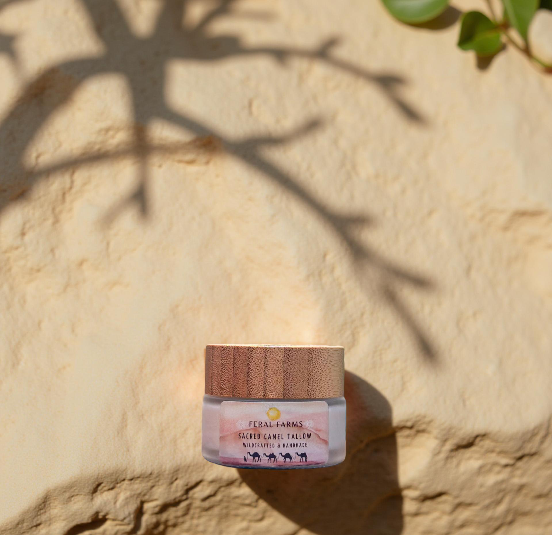 Sacred Camel Tallow